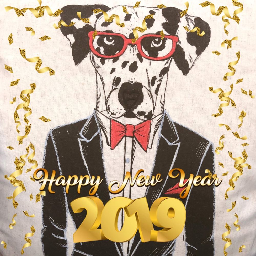 Meet your Posher, Kellie